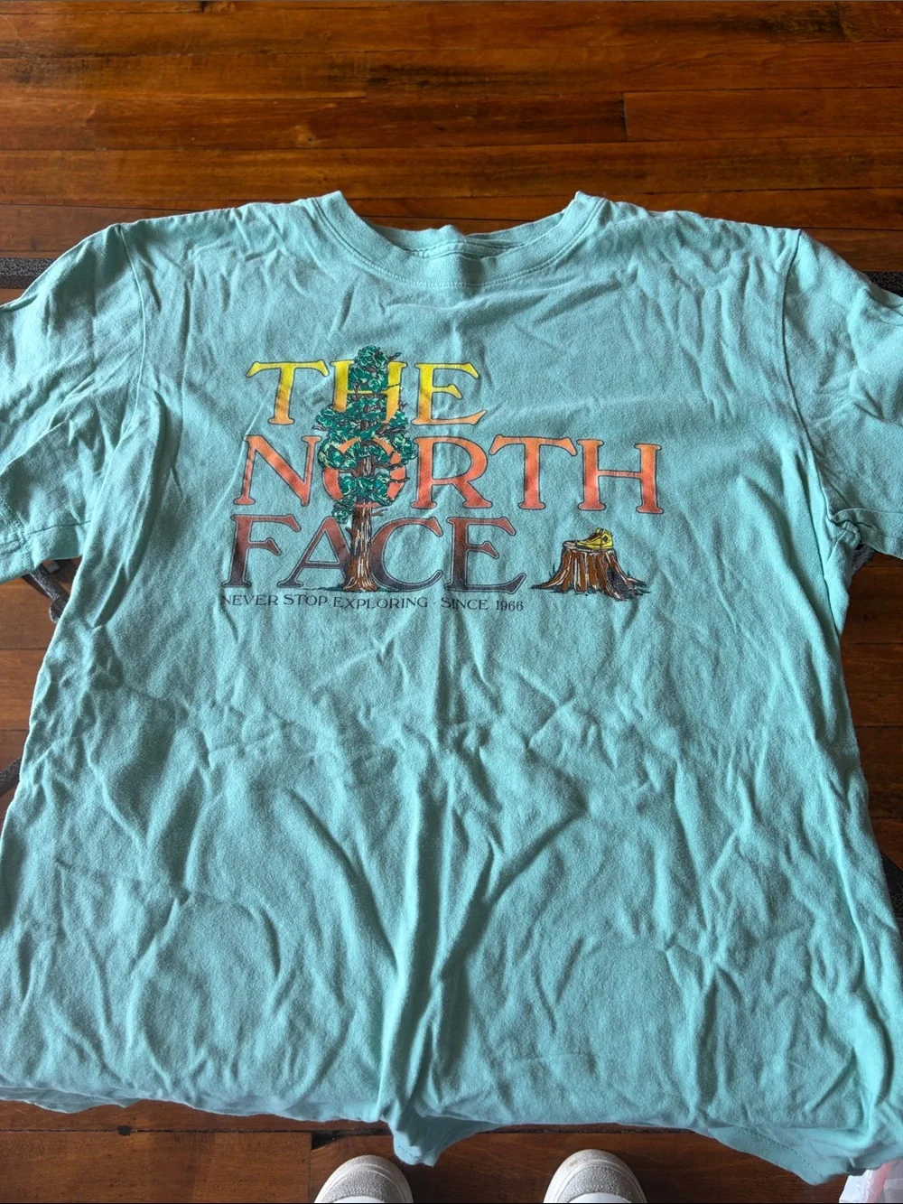 The North Face Graphic Tee - Light Teal